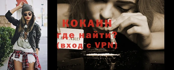 сатива Абаза
