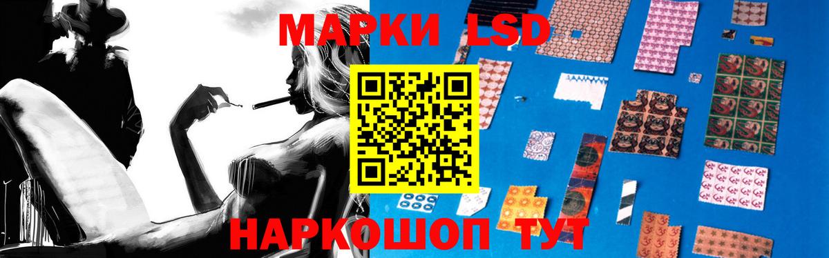 COCAIN Котлас