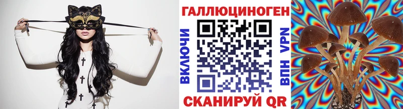 магазин продажи наркотиков  Котлас  Галлюциногенные грибы мухоморы 