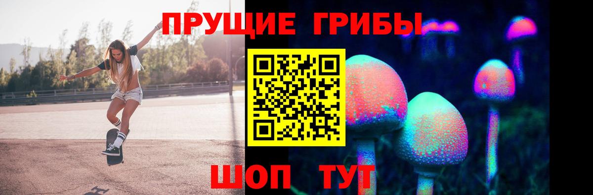 Галлюциногенные грибы Cubensis  Вход с VPN  цены наркотик  Котлас 